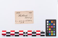 Foto von Eisenmesser (NHMW-PRAE-001405)